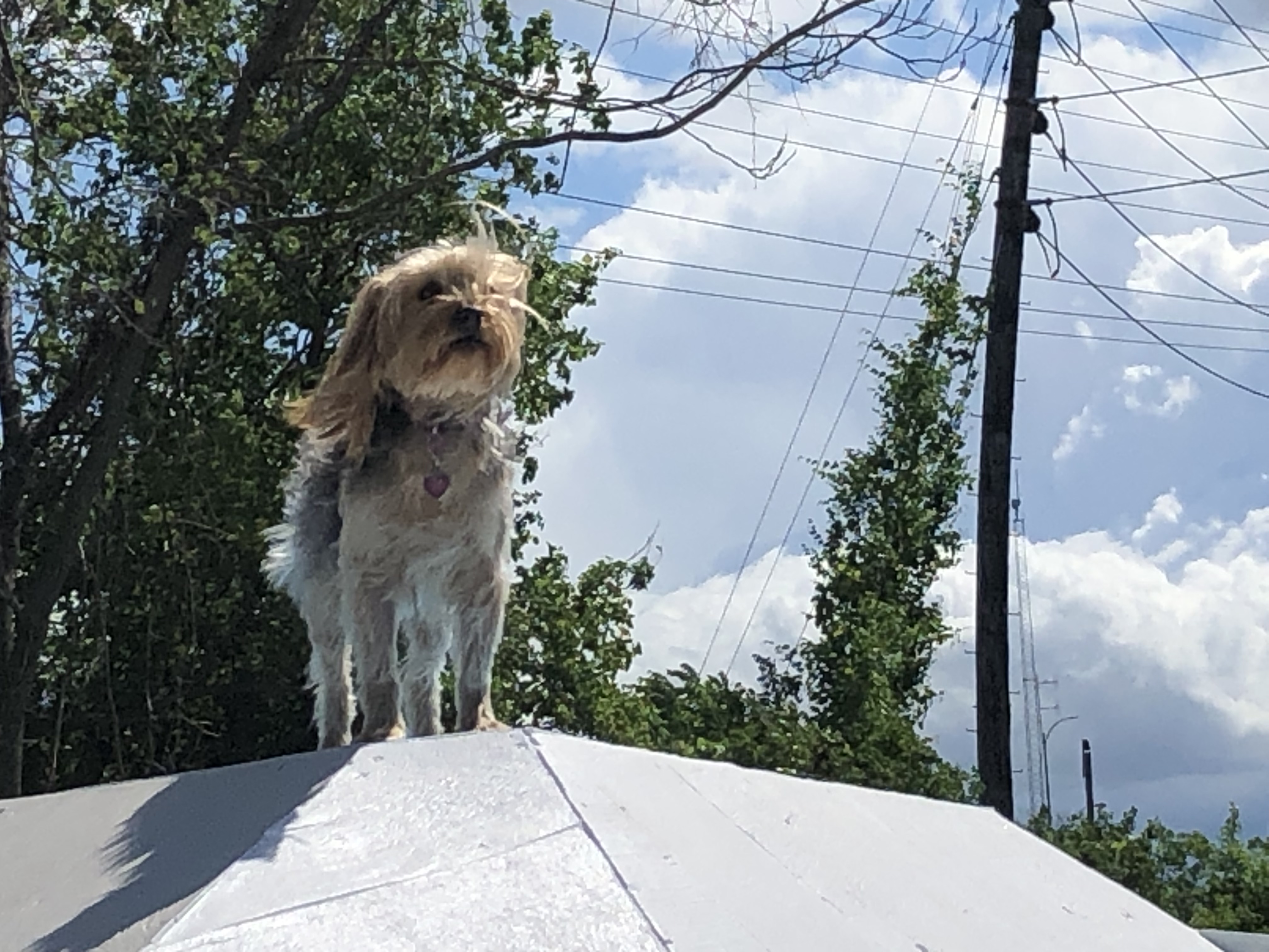 ./2022/06 - St Louis/06 - Day 6/20220526-102205999.JPG